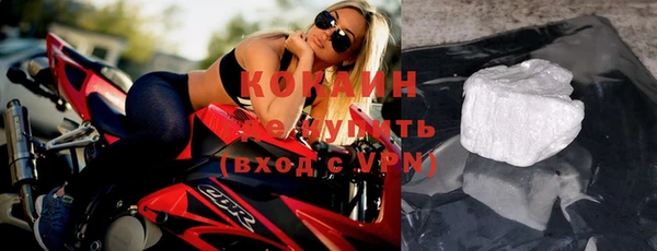 прущие крисы Гвардейск