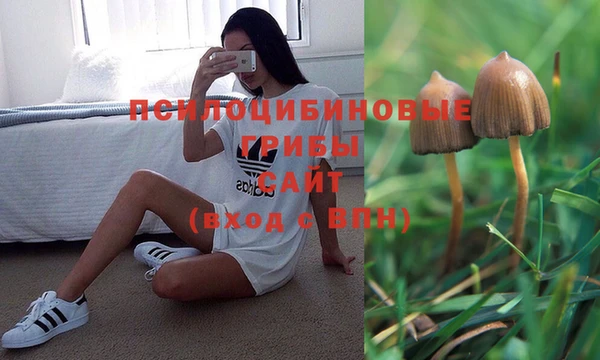 каннабис Абдулино