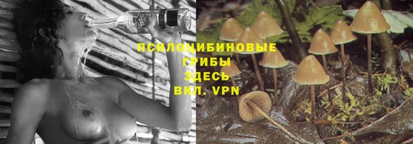 mix Абинск
