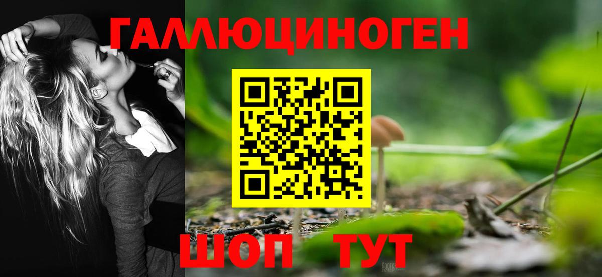Псилоцибиновые грибы MAGIC MUSHROOMS  Вход с VPN  Псилоцибиновые грибы Cubensis  Шарыпово 